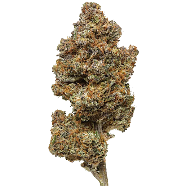 Purple Haze | Flow Gardens