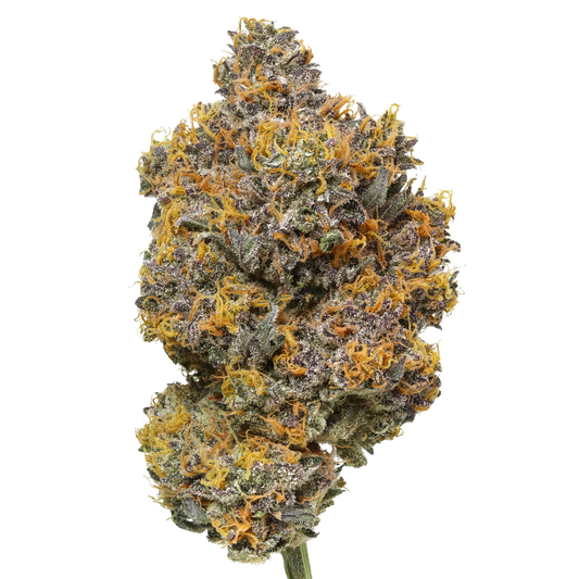 Rainbow Sherbet #11 (RS-11)