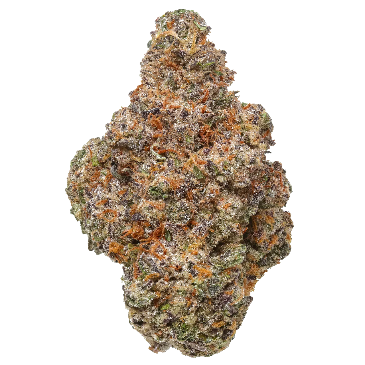 Colorful cannabis bud with frosty trichomes, orange hairs, purple and green hues on white background