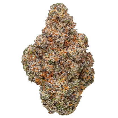 Colorful cannabis bud with frosty trichomes, orange hairs, purple and green hues on white background