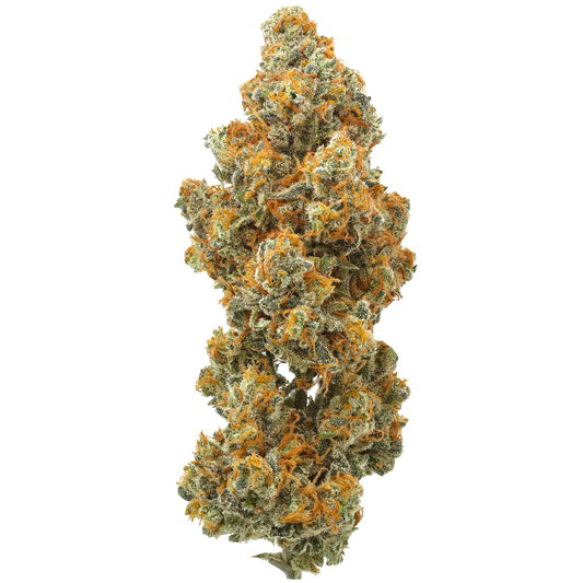 Strawberry Cough : Small Batch