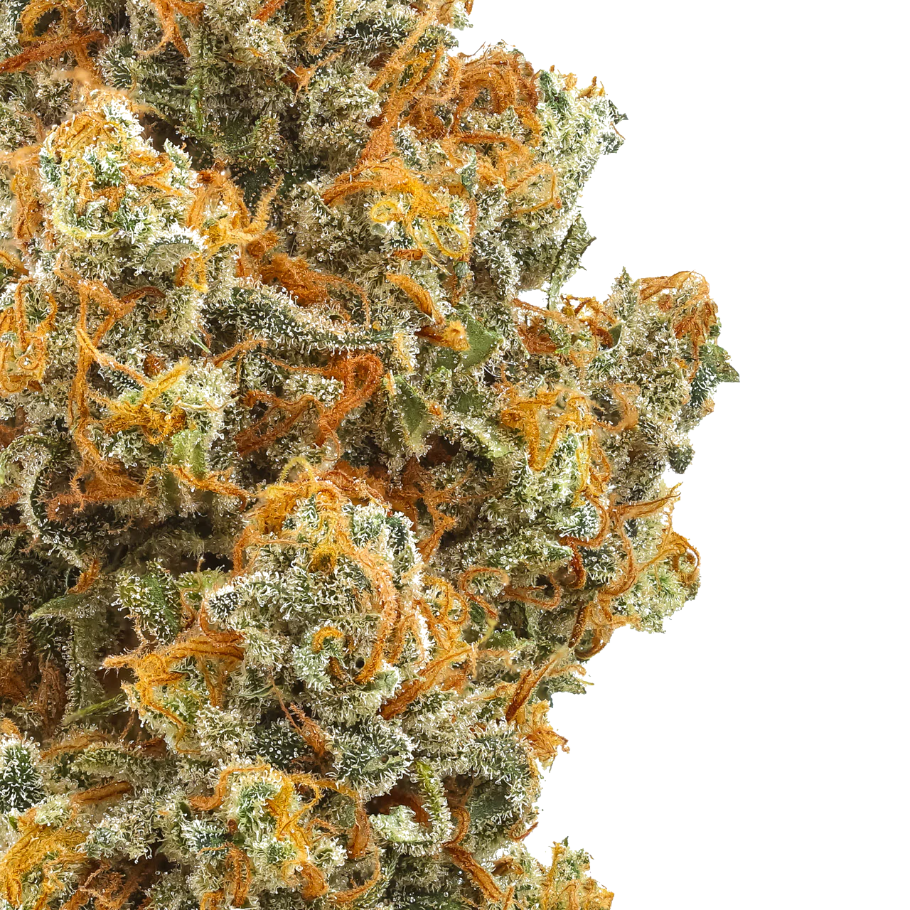 Strawberry Cough : Small Batch
