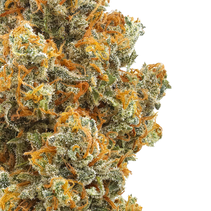 Strawberry Cough : Small Batch