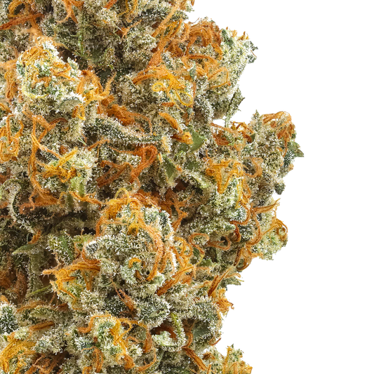 Strawberry Cough : Small Batch