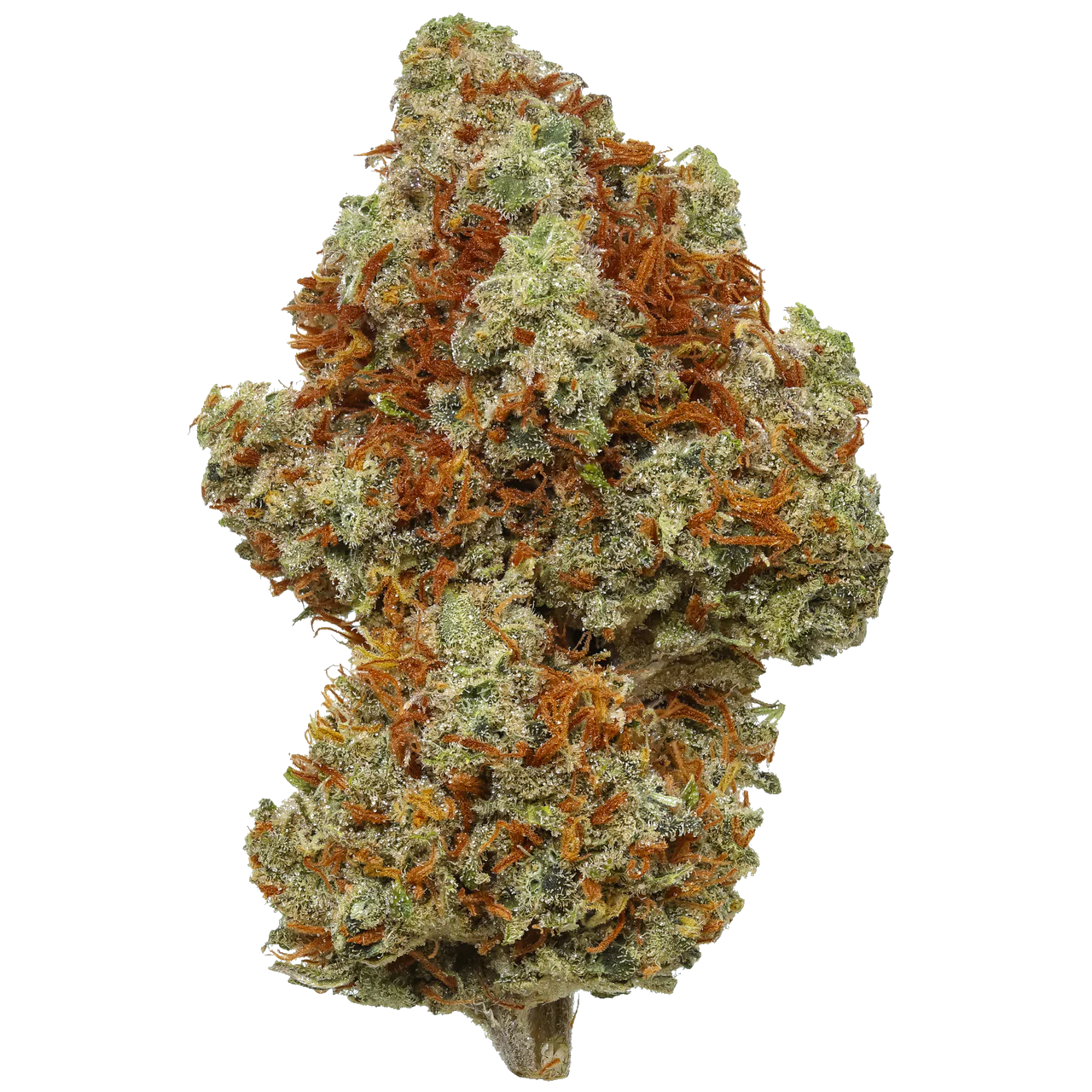 Super Lemon Haze