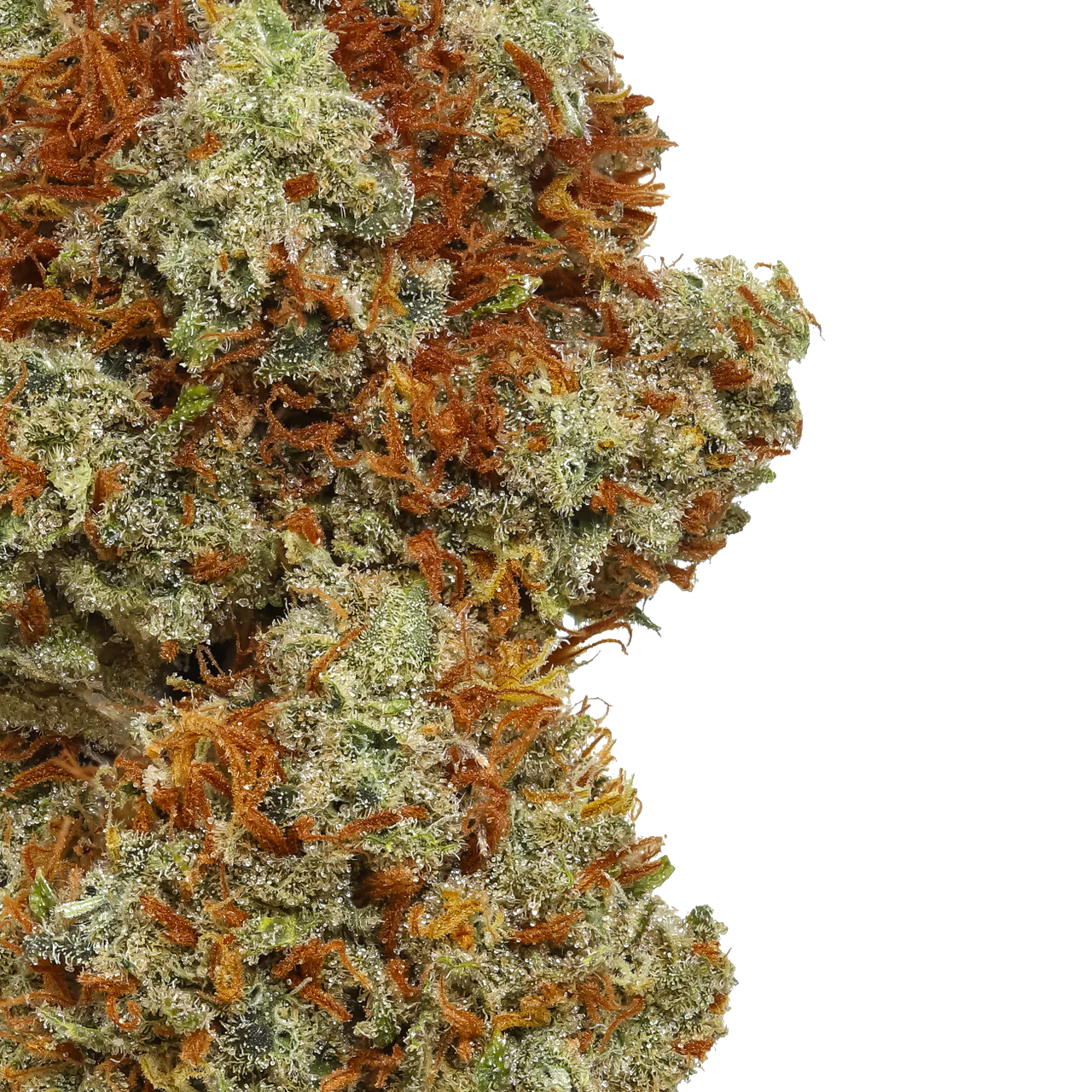 Super Lemon Haze