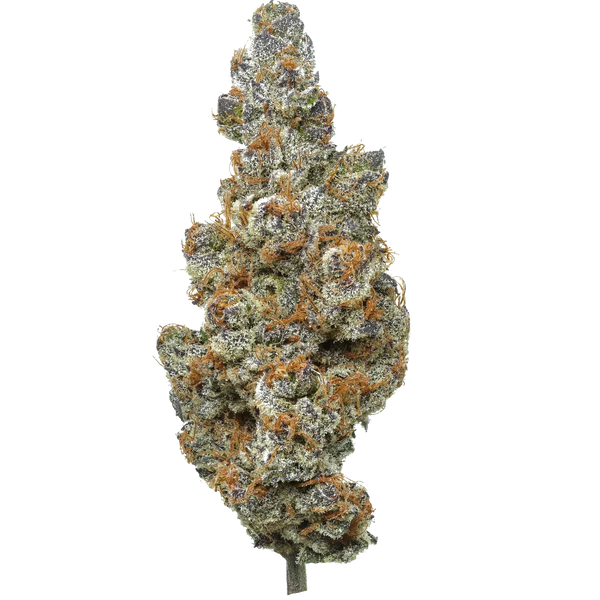 Tang | Flow Gardens