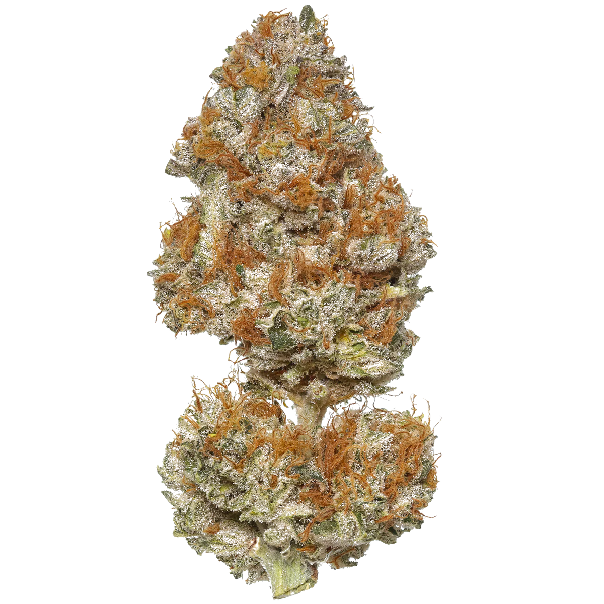 The White CBG
