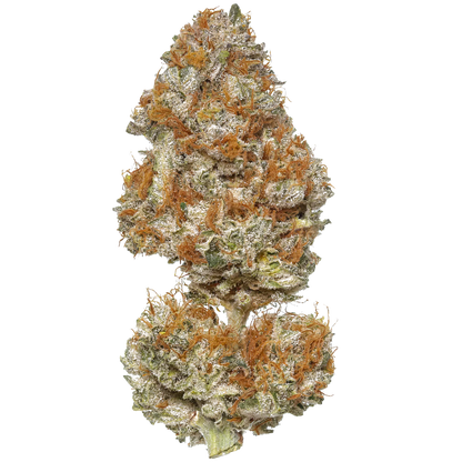 The White CBG